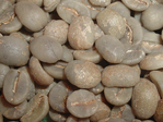 ブラジル　カルモデオーロ　生豆