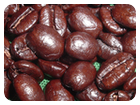 ケニア　キアンガイコーヒーファクトリー
